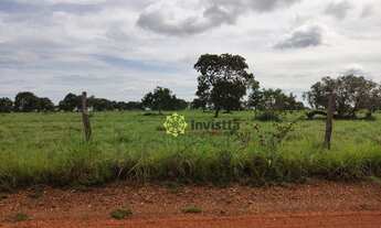Imagem 3: Fazenda à venda, 660 Hectares em Cristalândia do Tocantins