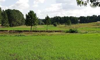 Imagem 6: Chácara/ sitio/ área a venda quatro barra