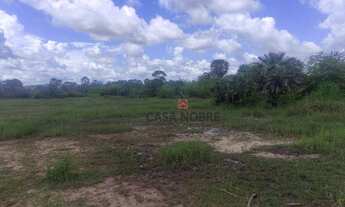 Imagem 5: Vende-se Fazenda em Vargem Grande/MA com 2mil Hectares