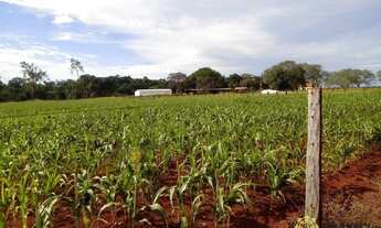 Imagem 6: Fazenda aberta à venda, 1.810 Hectares em Santa Rita do Tocantins/TO