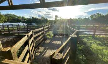 Imagem: Fazenda de 1.280 Hectares à venda no Café