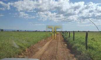 Imagem 5: Fazenda, 1.000 Alqueires, Formosa, GO