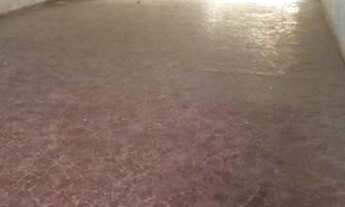 Imagem 3: São Paulo - Prédio Inteiro - Água Rasa