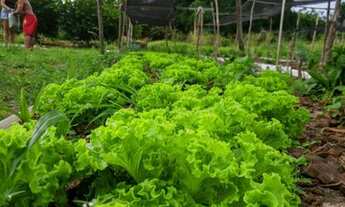 Imagem 5: Sítio no Panaquatira