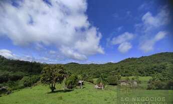 Imagem 7: Lote / Terreno em Morro do Gato - São Pedro de Alcântara, SC