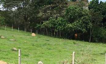 Imagem 3: 51 Lote/Terreno para venda tem 2500 metros quadrados em aterrado - Salesópolis - São Paul