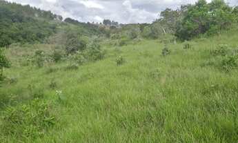 Imagem: Terreno 50 Hectares em Oliveira oportunidade