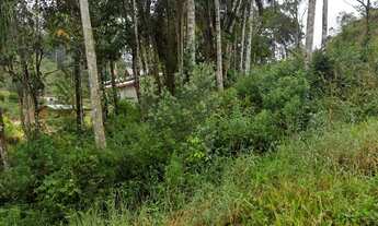 Imagem 6: Barbada Terreno pra sítio no pagará grande