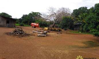 Imagem 4: Fazenda para pecuária à venda, 870 Hectares em Miracema do Tocantins/TO