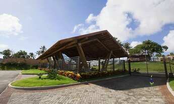 Imagem 4: Lote de 360 m² à venda em Pium/RN - Litoral Sul