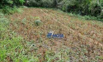 Imagem 5: Chácara à venda, 16429 m² por R$ 250.000,00 - Zona Rural - Contenda/PR