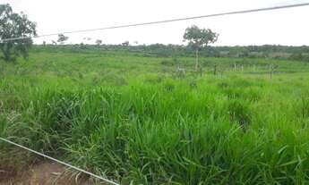 Imagem 3: Fazenda 226 Alqueires em Rio sono Tocantins