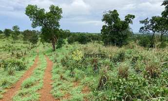 Imagem 7: Fazenda aberta à venda 350 Hectares em Paraíso do Tocantins/TO