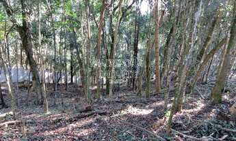 Imagem 7: Um terreno literalmente PRONTO PARA CONSTRUIR!