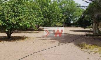 Imagem: Ótima oportunidade