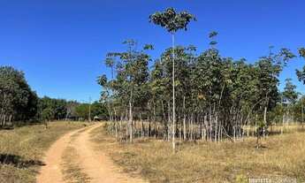 Imagem 5: Fazenda à venda, 696Hectares (144 Alqueires) - Divinópolis do Tocantins/TO
