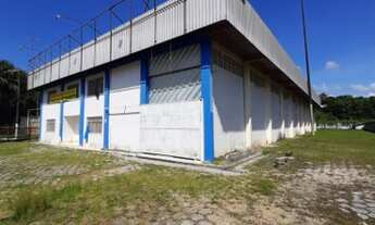 Imagem: Galpão 1500m2 Nível 5 Avenida Torquato