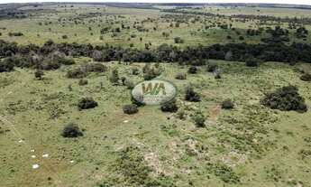 Imagem 6: Fazenda em Cristalândia- TO