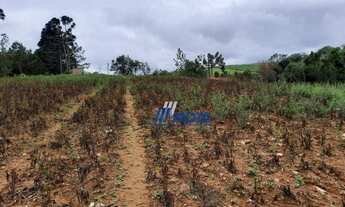 Imagem 3: Chácara à venda, 16429 m² por R$ 250.000,00 - Zona Rural - Contenda/PR