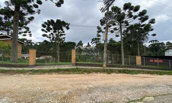 Imagem 6: Ótima oportunidade de investimento!!! Excelente lote de terreno com declive suave localiza