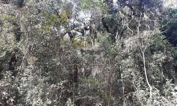 Imagem 3: Terreno à venda em Campos do Jordão!!!