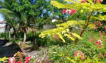 Imagem 3: Ótimo terreno, plano, 700 m ², Ilhéus-Cururupe, pronto para construir