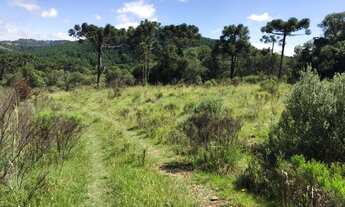 Imagem 6: Área rural de 44,3 hectares, localizada na cidade de Painel