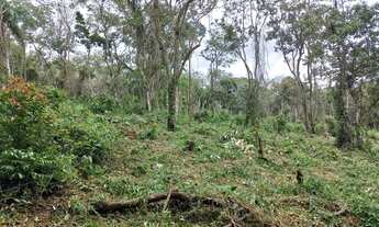 Imagem 4: Terreno para chácara , 2 km de terra 56G80J