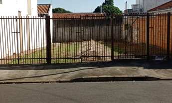 Imagem 4: Terreno alto cafezal