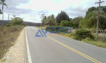 Imagem 5: CHÁCARA COM 3,9 TAREFAS EM JAIBA