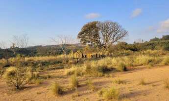 Imagem 3: Ótima oportunidade! terreno em área industrial, com área de 15.528 m², fácil acesso