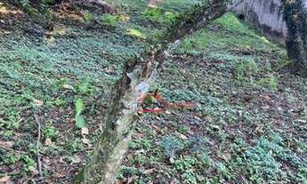 Imagem 4: Terreno à venda, 420 m² por R$ 350.000,00 - Granja Viana - Carapicuíba/SP