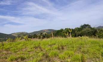 Imagem 4: Vendo lotes e terrenos