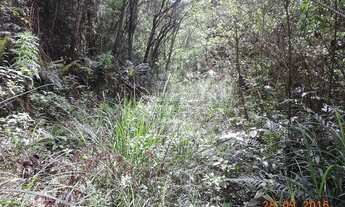 Imagem 6: Bela área de 77.000 m² com infraestrutura iniciada (Vende Separadamente