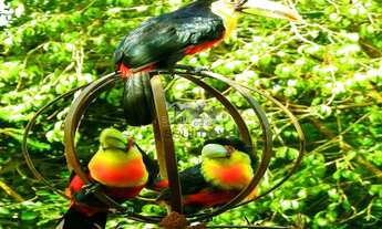 Imagem 3: Casa luxuosa à venda em condomínio fechado com 4 suítes !!!