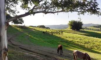 Imagem 3: Fazenda à venda, 3944600 m² por R$ 17.930.000,00 - Vila Nova Itapetininga - Itapetininga/S