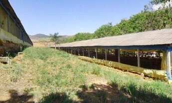 Imagem 4: Fazenda com 9 dormitórios à venda, 5832200 m² por R$ 14.000.000,00 - Vila Santista - Serra