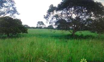 Imagem 3: Fazenda à venda, 1.800 Hectares em Dueré do Tocantins