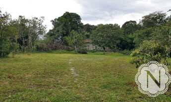 Imagem 6: Área à venda no Gaivota!