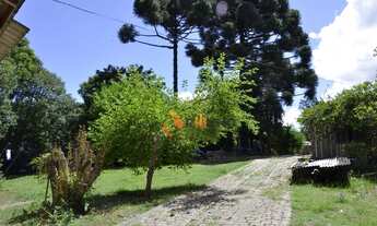 Imagem 2: Chácara com 2 dormitórios à venda, 9075 m² por R$ 870.000,00 - Florestal - Quatro Barras/P