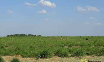 Imagem 3: Fazenda à venda, 4.800 Hectares em Goianorte/TO