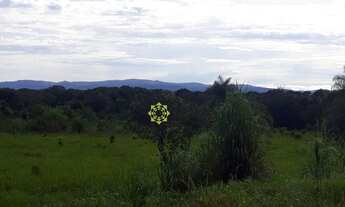 Imagem 6: Fazenda à venda, 720 Hectares em Abreulândia do Tocantins