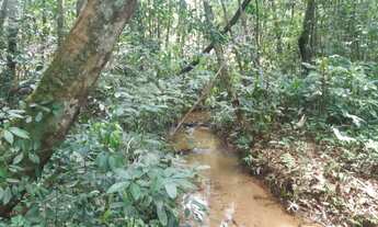 Imagem: Terreno no Manuel Urbano Km20