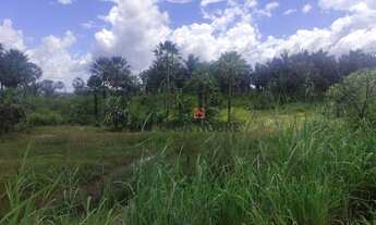 Imagem 6: Vende-se Fazenda em Vargem Grande/MA com 2mil Hectares