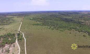 Imagem 2: Fazenda à venda, 4.000 Hectares em Goianorte/TO