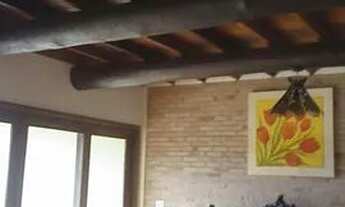 Imagem 6: Sítio em Bom Jesus dos Perdões - 5,4 hectares