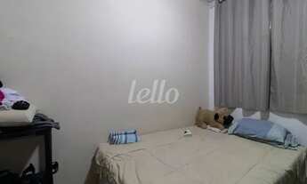 Imagem 7: São Paulo - Casa Padrão - São Lucas