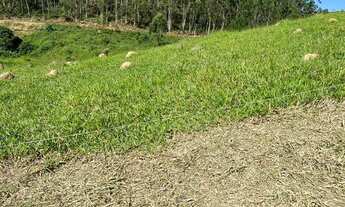 Imagem 5: Terreno dos sonhos, Cachoeira e lago