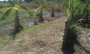 Imagem 4: Terreno ( ler anúncio