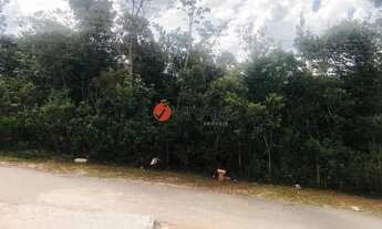 Imagem 4: NOVA LIMA - Loteamento/Condomínio - Arvoredo